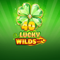40 Lucky Wilds Hot screenshot